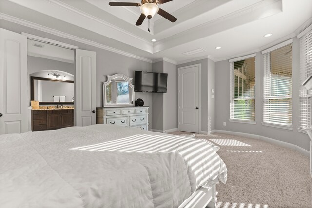 carpeted bedroom with a tray ceiling, multiple windows, and crown molding