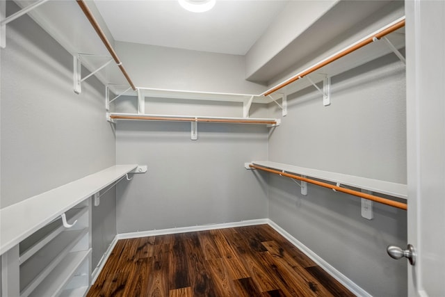 spacious closet featuring dark wood finished floors