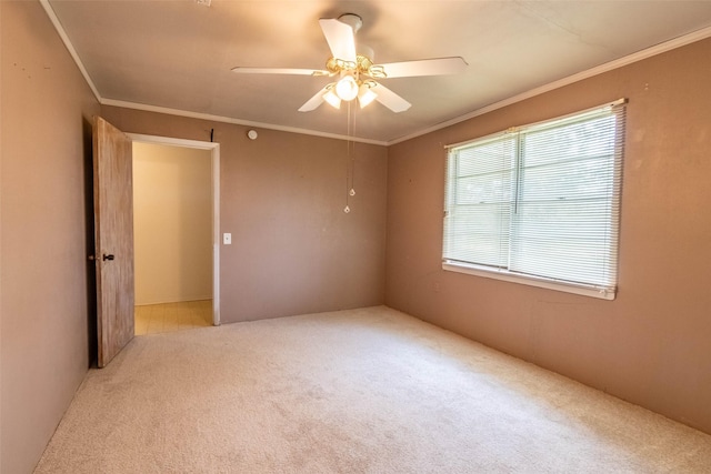 empty room with a ceiling fan, carpet flooring, and crown molding