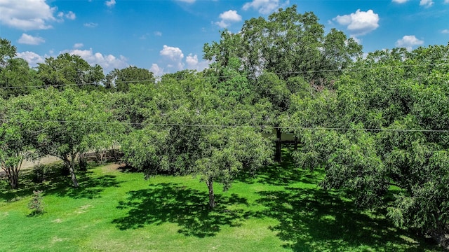 view of local wilderness with a wooded view