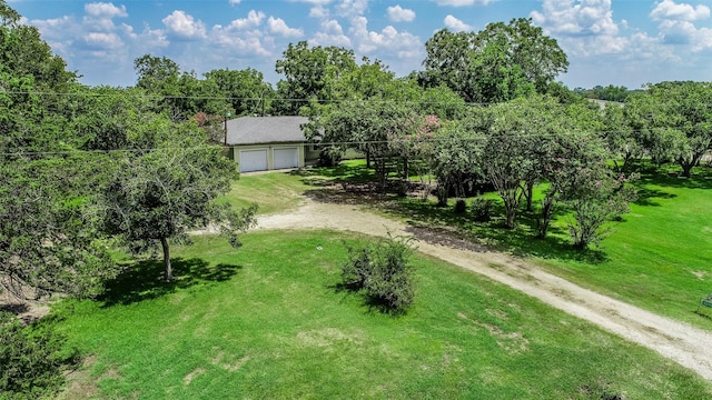 view of yard featuring dirt driveway