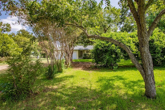 view of yard featuring an attached garage