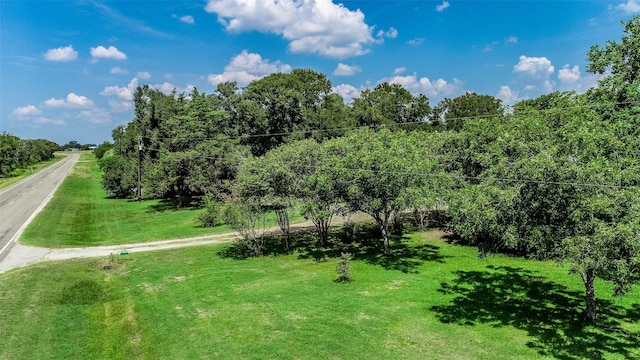 view of home's community with a yard and a forest view