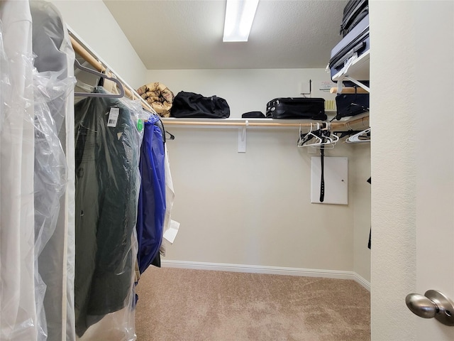 walk in closet featuring carpet