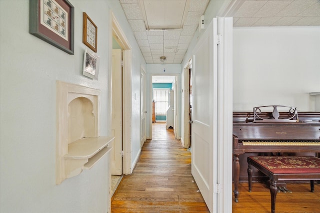 hall with a drop ceiling, attic access, and light wood-style floors