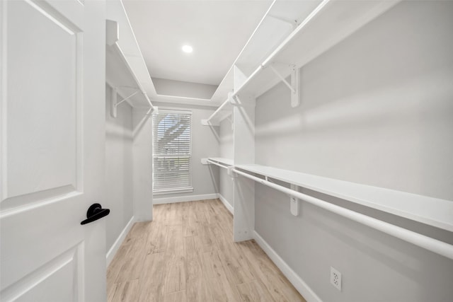 walk in closet featuring light wood finished floors