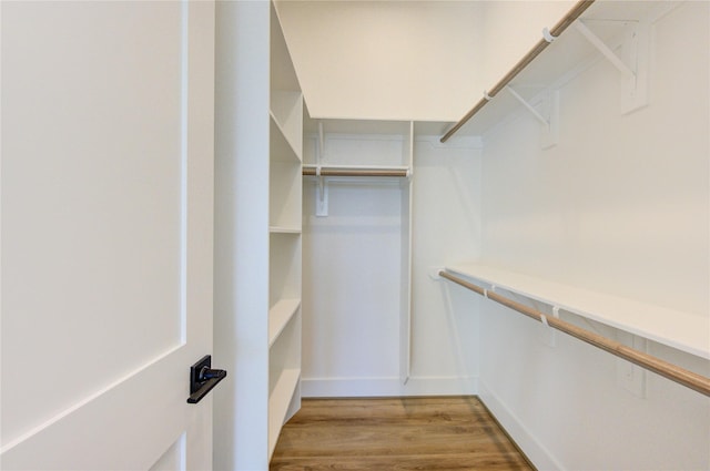 walk in closet featuring light wood finished floors