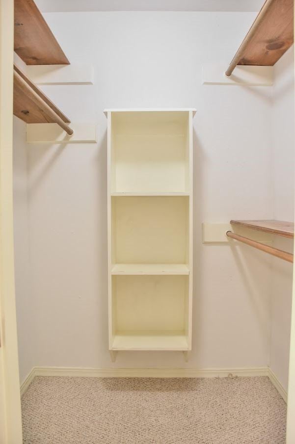 spacious closet featuring carpet flooring