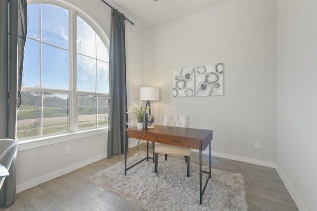 office featuring a wealth of natural light, baseboards, and wood finished floors