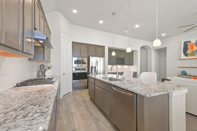 kitchen with decorative backsplash, light wood-style flooring, range hood, stainless steel appliances, and a sink