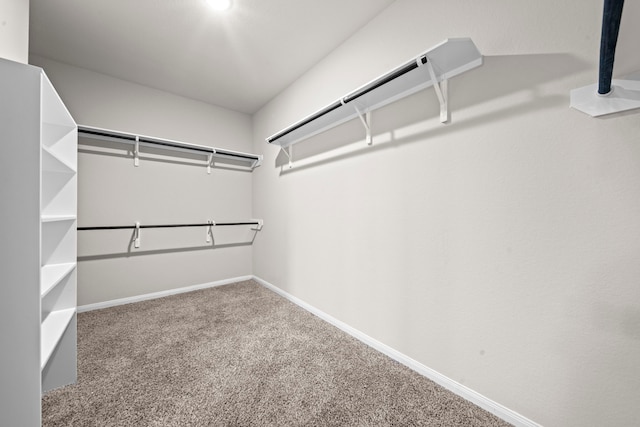 walk in closet with carpet