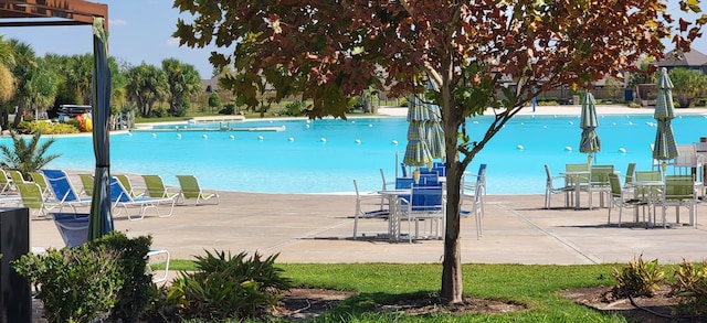 view of pool with a patio area