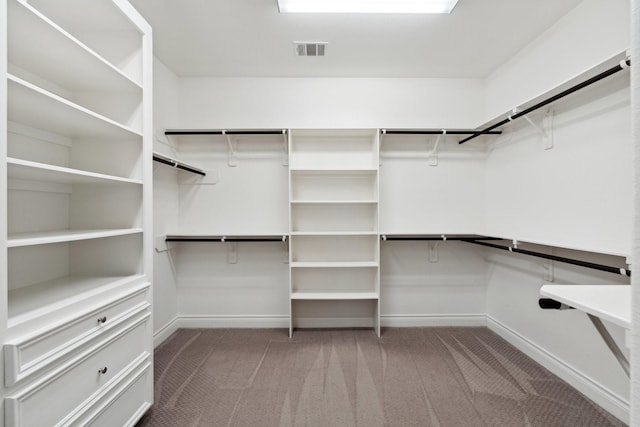 spacious closet with carpet floors and visible vents