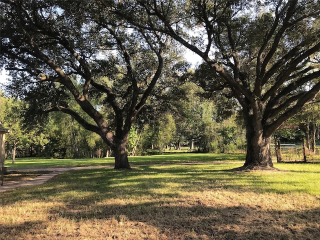 surrounding community featuring a yard