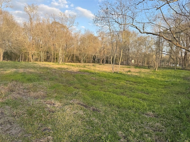 4935 Fm 1409, Dayton, TX 77535 - photo 10