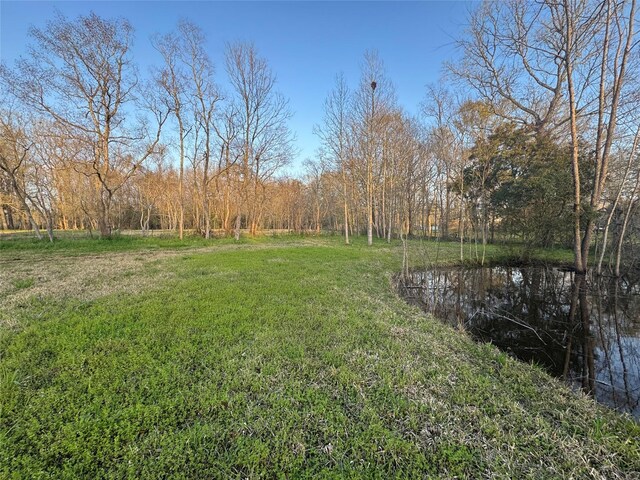 view of yard with a forest view