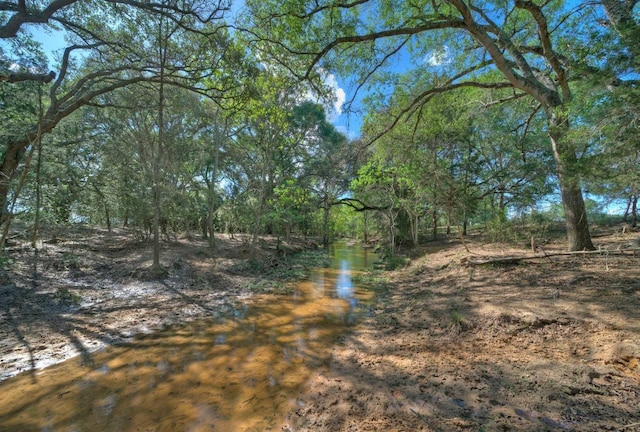 Listing photo 2 for TBD Frantz Rd, Cat Spring TX 78933