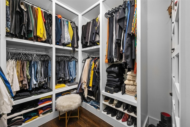 spacious closet with wood finished floors