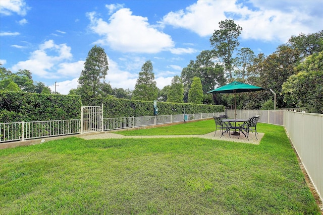 view of yard with a patio area and a fenced backyard