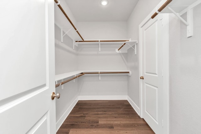 spacious closet with dark wood-type flooring