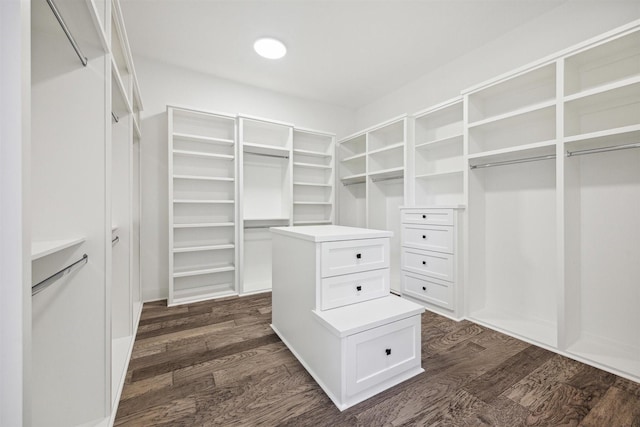 spacious closet with dark wood-style flooring