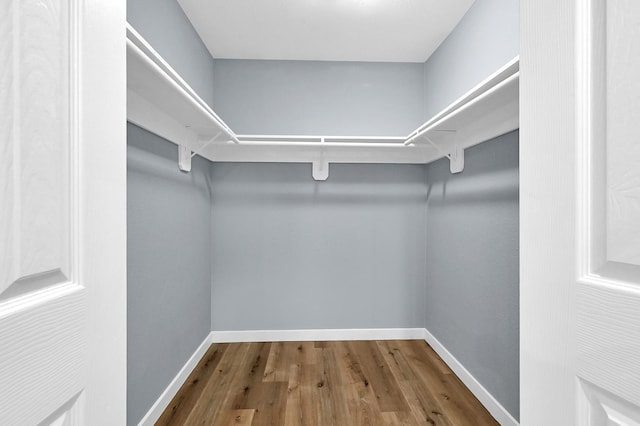 walk in closet featuring wood finished floors