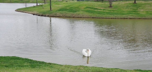 property view of water