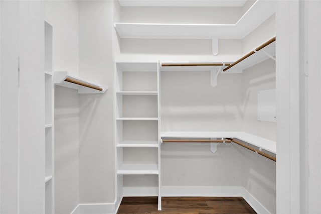 spacious closet featuring dark wood-type flooring