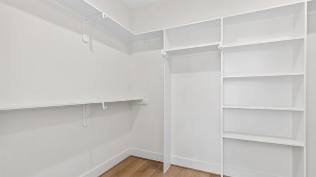 spacious closet featuring wood finished floors