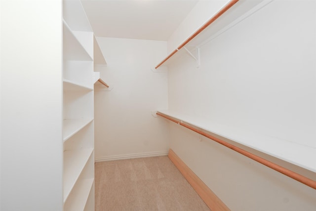 walk in closet with light colored carpet