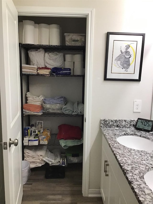 bathroom featuring wood finished floors and vanity