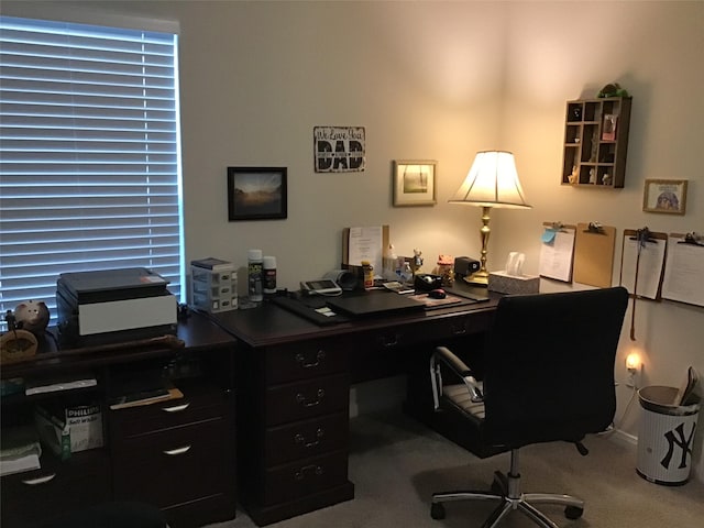 office area with carpet floors