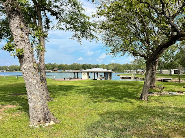 20315 Post Oak Loop, Thornton, TX 76687 - view of yard with a water view and a boat dock