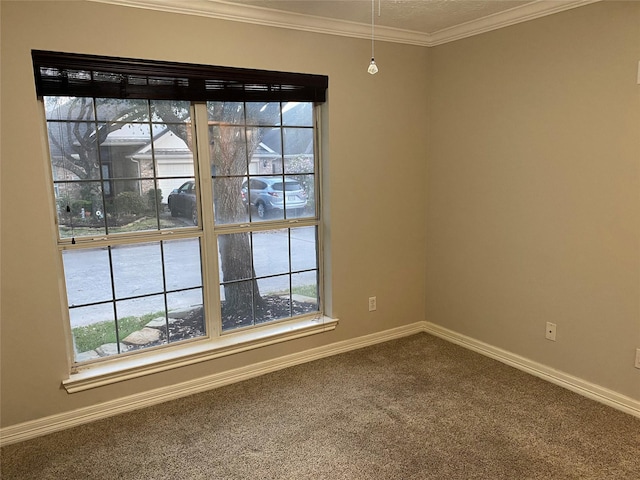 carpeted spare room with crown molding and baseboards