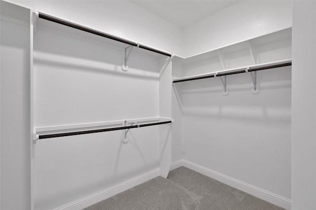 spacious closet with light colored carpet