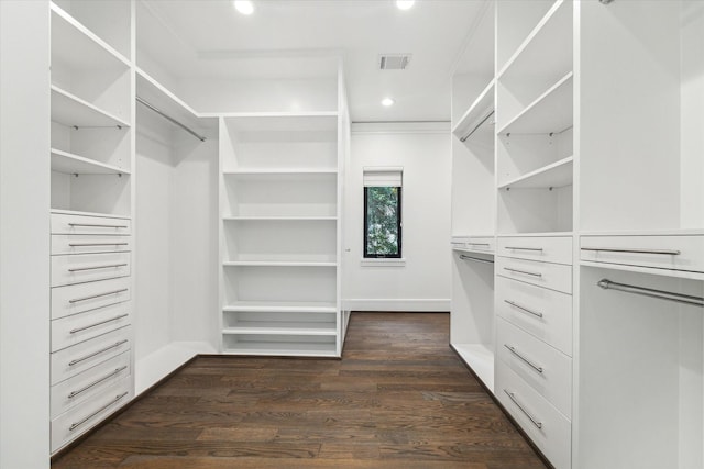 walk in closet with dark wood-style floors and visible vents