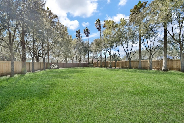 view of yard with a fenced backyard