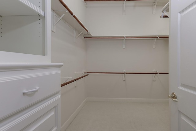 walk in closet featuring carpet floors