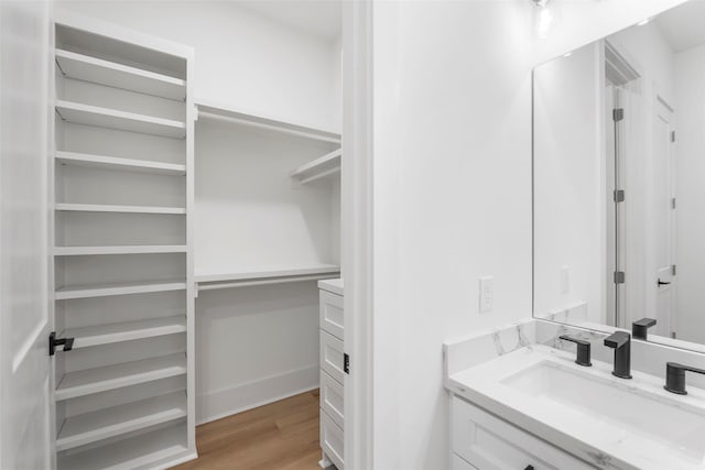 spacious closet with a sink and light wood finished floors