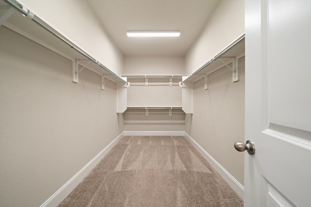 spacious closet with light colored carpet