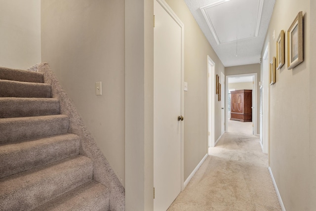 stairs with attic access, baseboards, and carpet flooring