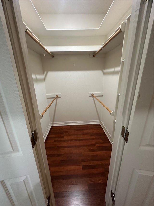 walk in closet with dark wood finished floors