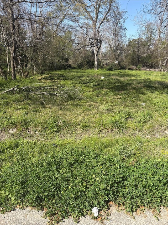 1043 Lincoln St, Beaumont, TX 77701 - photo 1