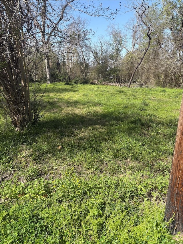 1043 Lincoln St, Beaumont, TX 77701 - photo 2