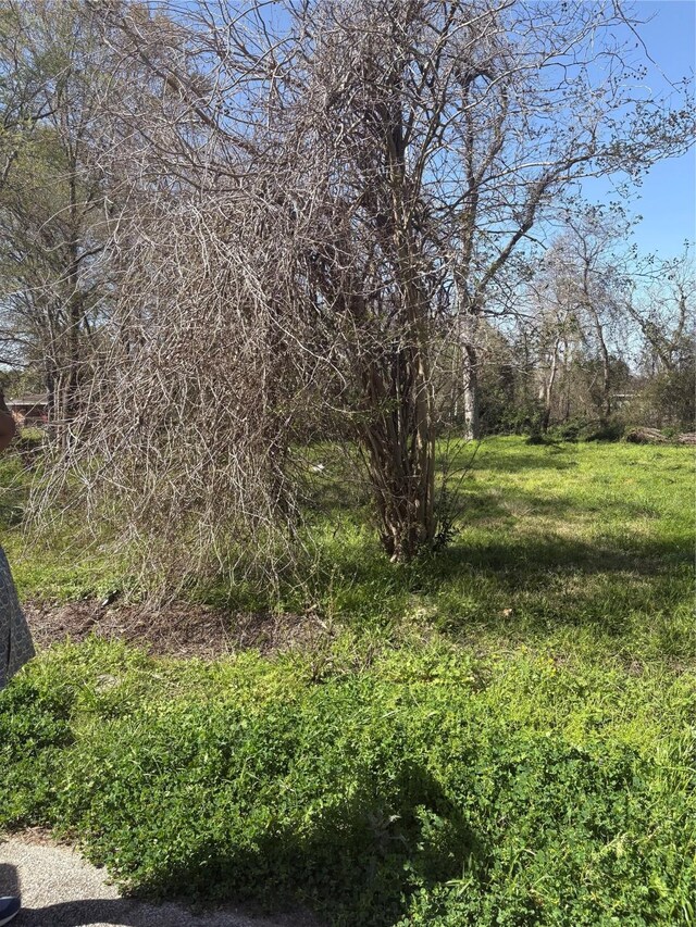 1043 Lincoln St, Beaumont, TX 77701 - photo 3