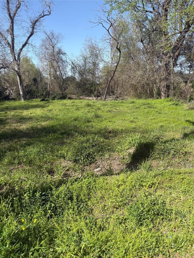 1043 Lincoln St, Beaumont, TX 77701 - photo 4