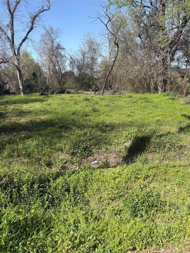 1043 Lincoln St, Beaumont, TX 77701 - photo 5