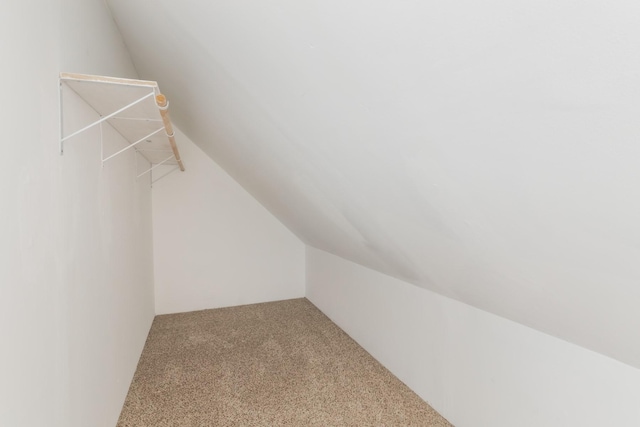 spacious closet with carpet floors and vaulted ceiling