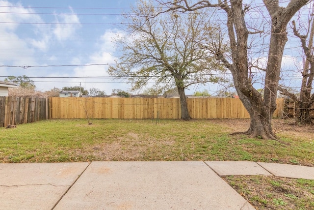 view of yard featuring a patio area and a fenced backyard