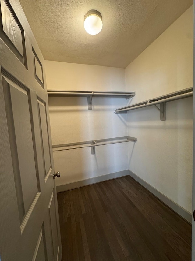 walk in closet featuring dark wood-style flooring